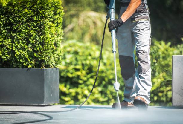 Solar Panel Cleaning in Chalmette, LA