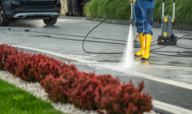 Best Building Exterior Washing  in Chalmette, LA
